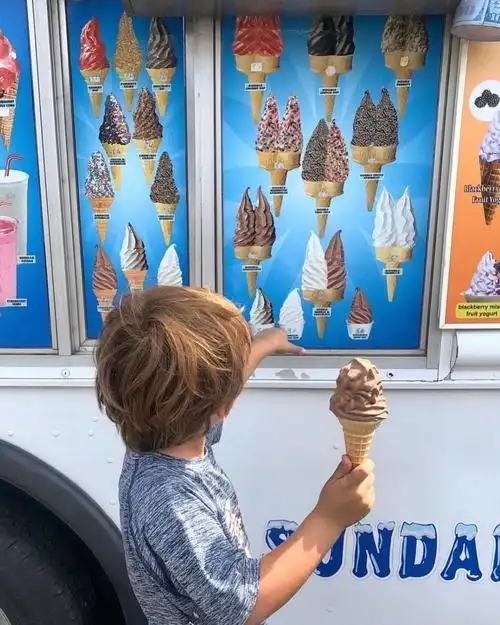 6686体育app官方作者紫色蒲公英