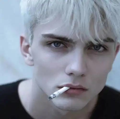 6686体育app铜牌作者白茶与风