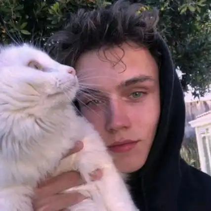 6686体育app首席作者Alfie