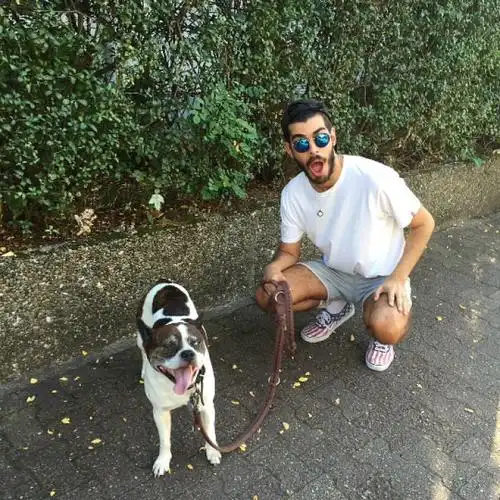 6686体育app特邀作者鲨勒巴基