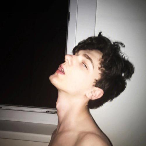 6686体育app金牌作者Ivy