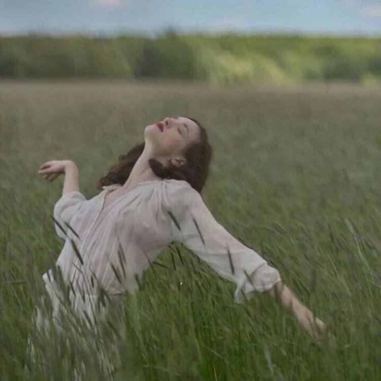 6686体育app钻石作者九命猫