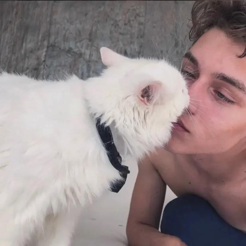 6686体育app银牌作者纤尘