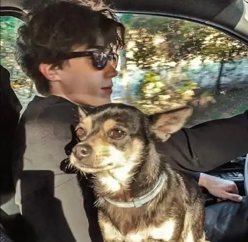 6686体育app铜牌作者长辞笙