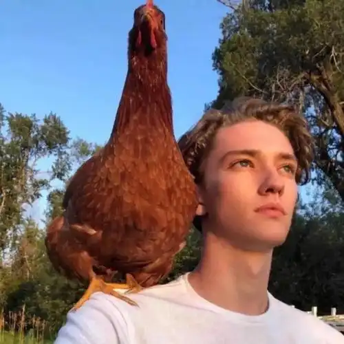 6686体育app高级作者Rafael