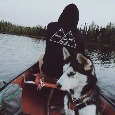 6686体育app官方作者孤独与我为